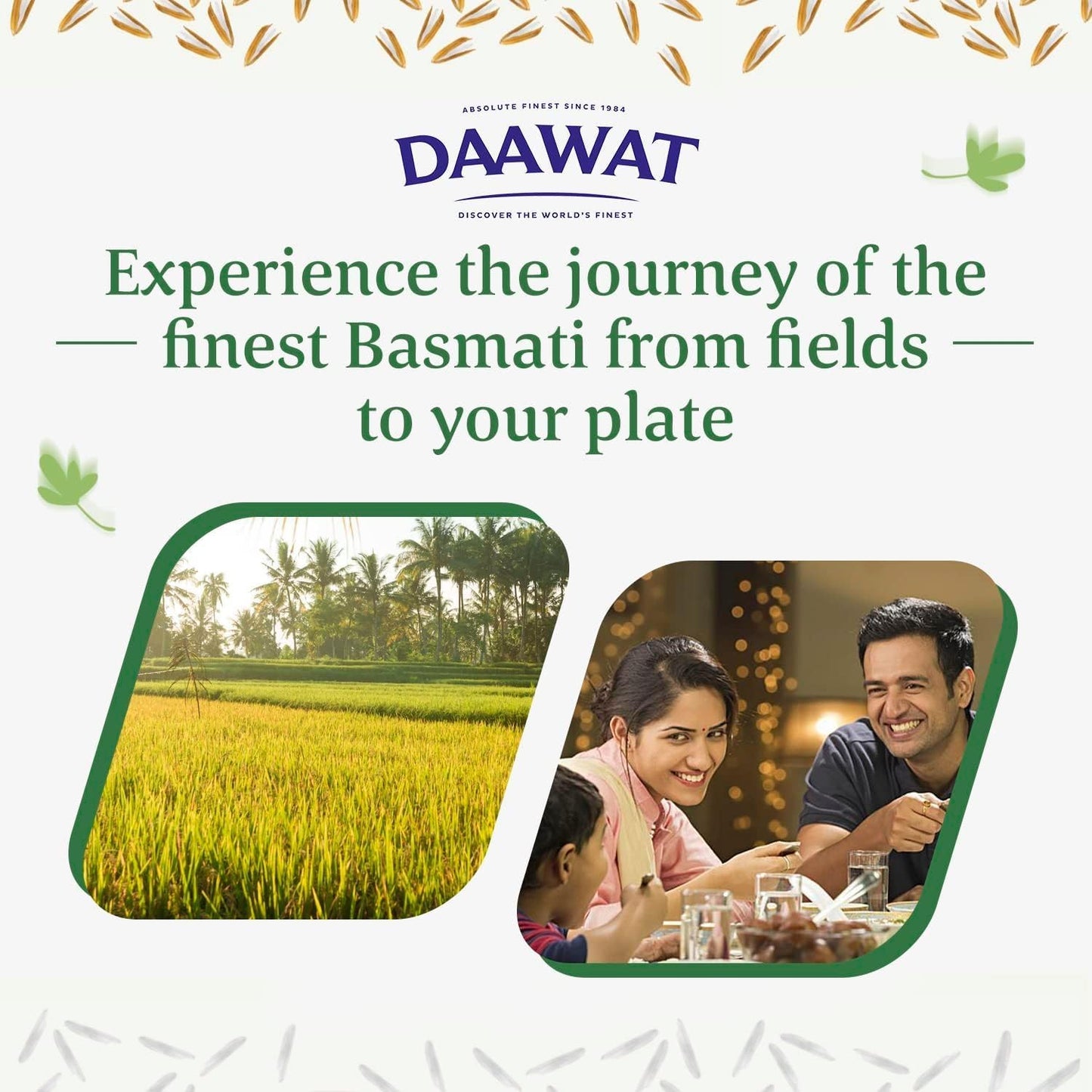 Daawat Extra Long Basmati Rice with Exceptional Length, Aromatic Flavour, Fluffy Grains, Elongates up to 24mm when Cooked, Non-Sticky and Ideal for all types of Dishes - 10Kg