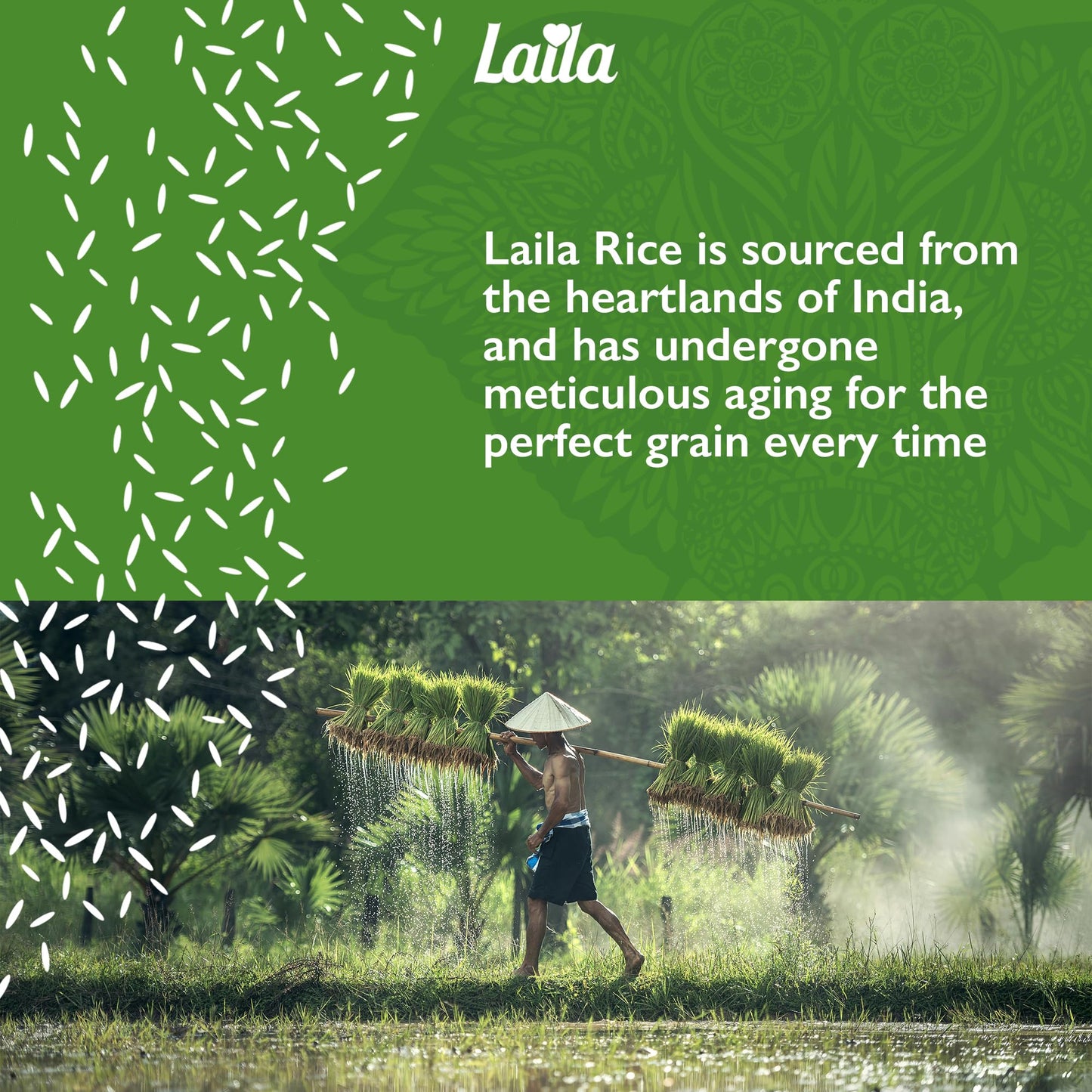 Laila Basmati Rice 10Kg, Aromatic Rice Basmati-Style, 10kg Basmati Rice Long Grain for Biryani, Pilaf or Pulao, Gluten Free Rice, 100% Pure Long Grain Rice